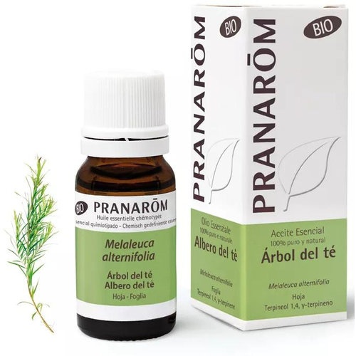 Aceite esencial arbol del te (1 envase 10 ml)