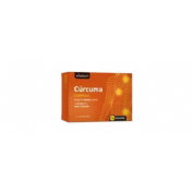 Vitalart curcuma complex (30 comprimidos)